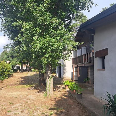 La Casa Del Pi Apartment El Pi de Sant Just ภายนอก รูปภาพ